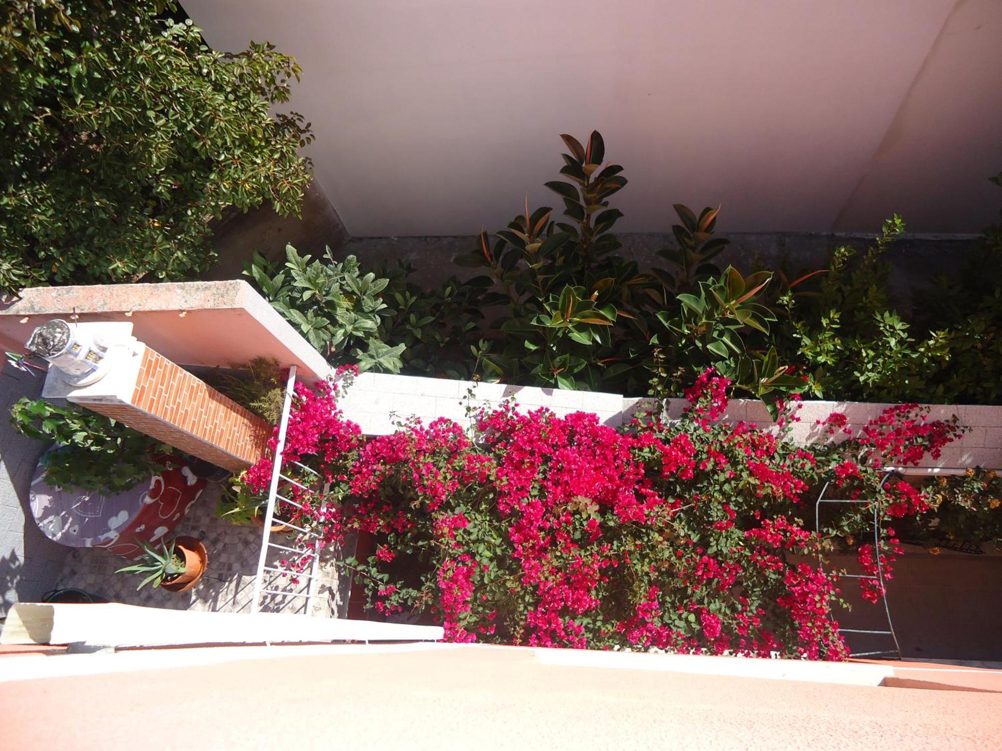 Hotel Aviz Figueira da Foz Bagian luar foto