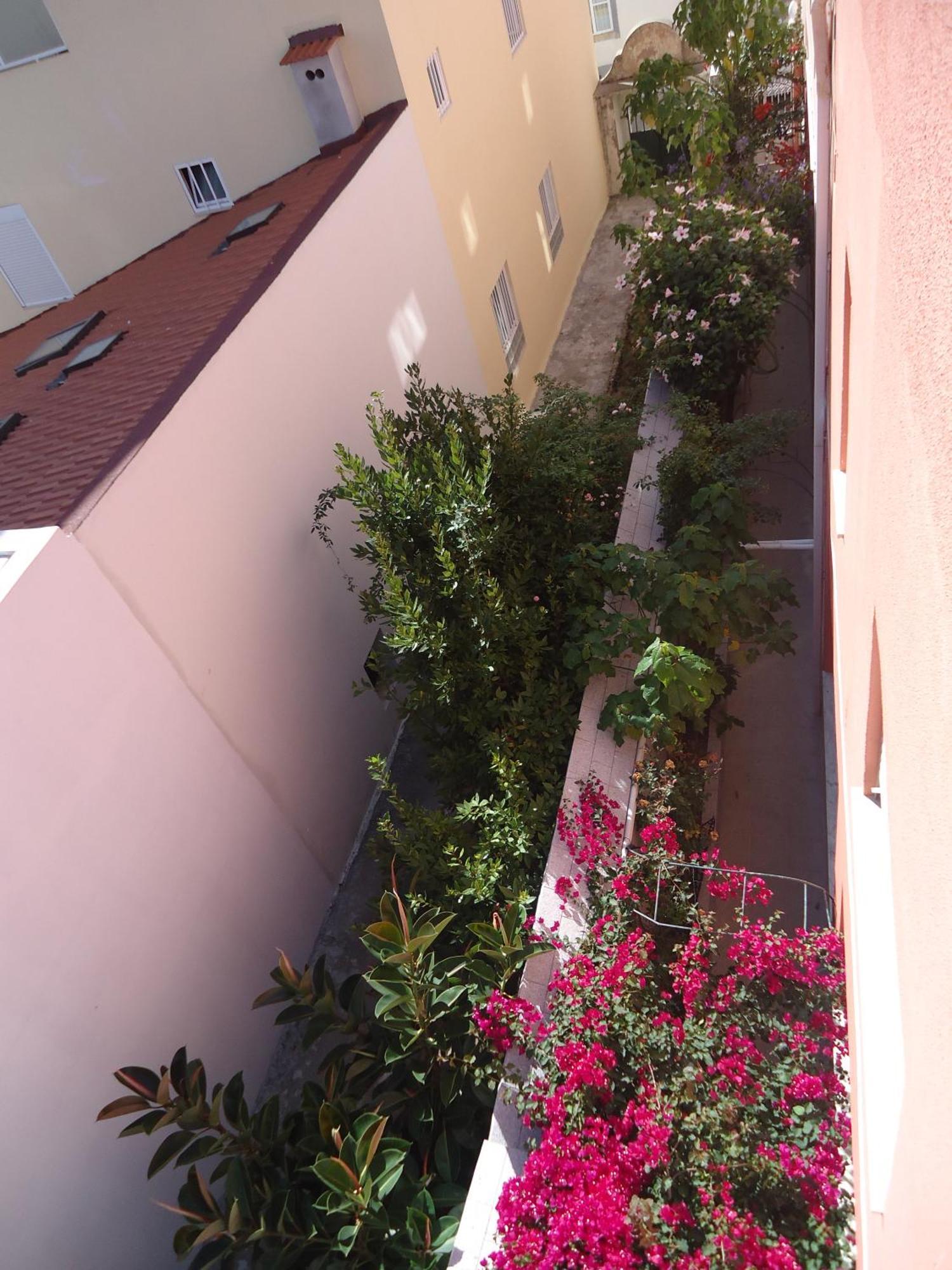 Hotel Aviz Figueira da Foz Bagian luar foto